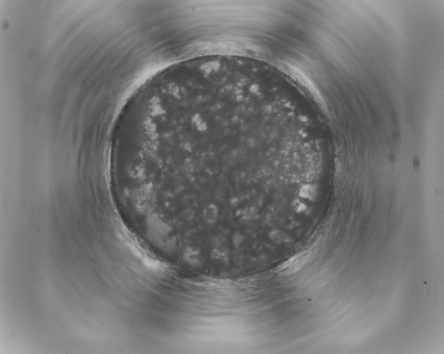 X0000088591035200706151731