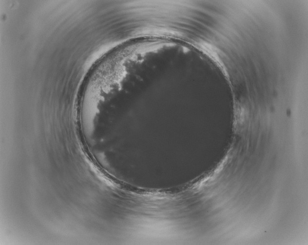 X0000088591037200706151731