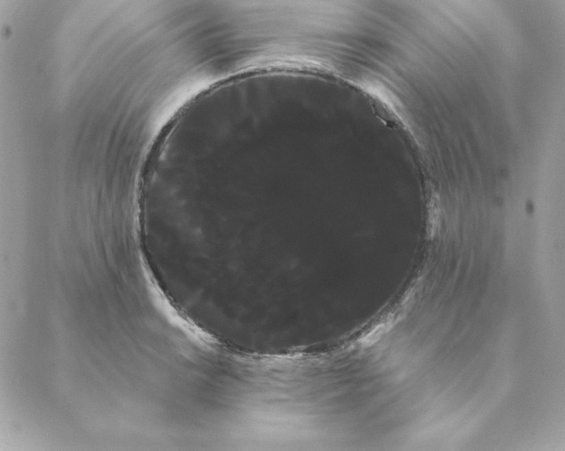 X0000088591038200706151731