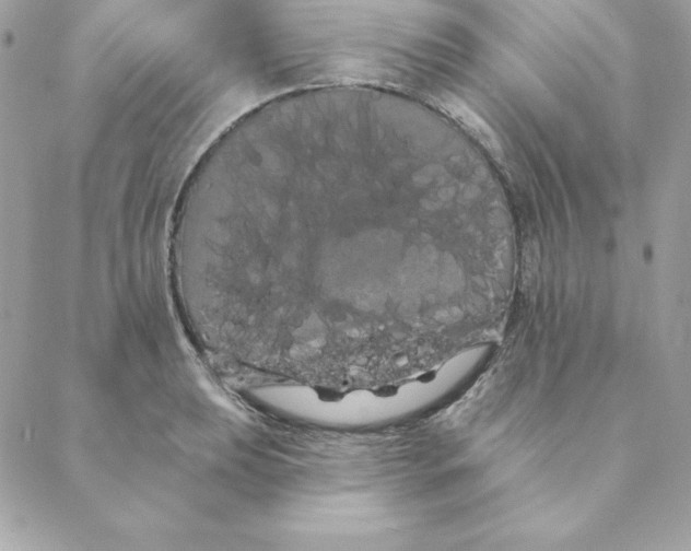 X0000088591039200706151731