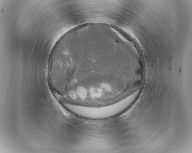 X0000088591040200706151731