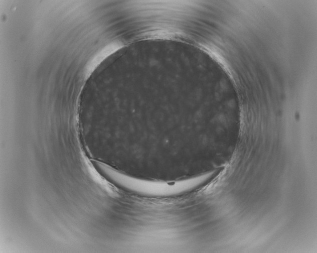 X0000088591042200706151731