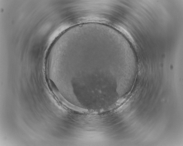 X0000088591043200706151731