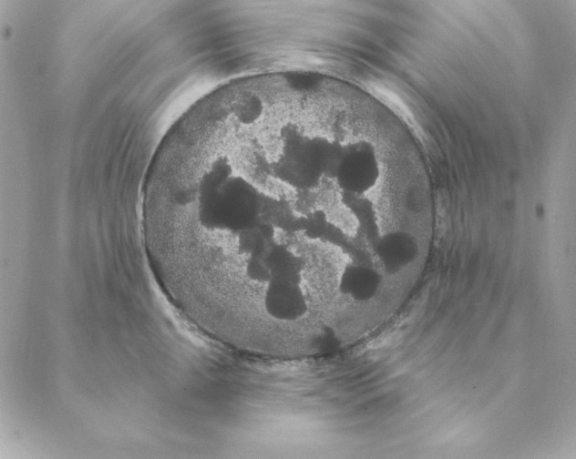 X0000088591047200706151731