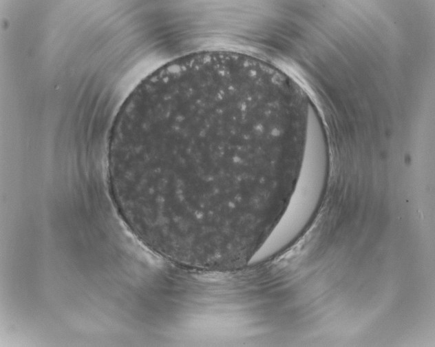 X0000088591048200706151731