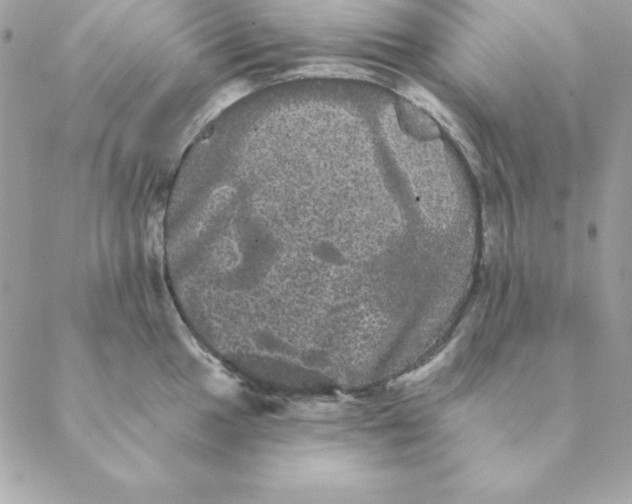 X0000088591049200706151731