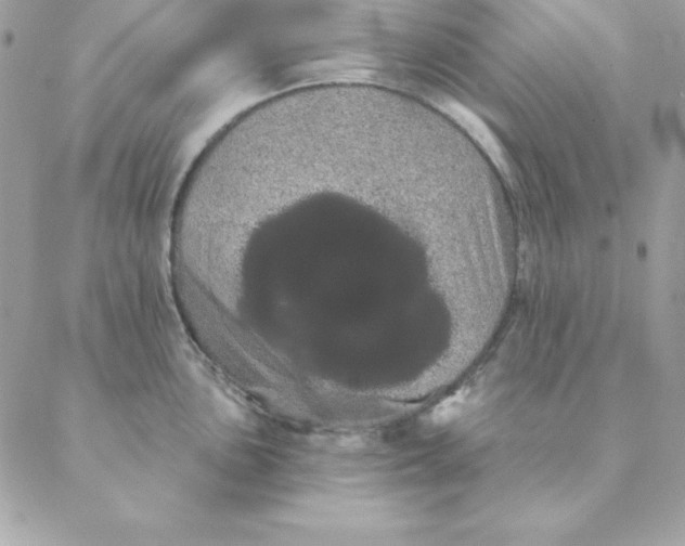 X0000088591051200706151731