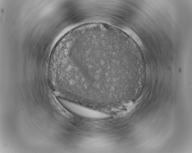 X0000088591052200706151731