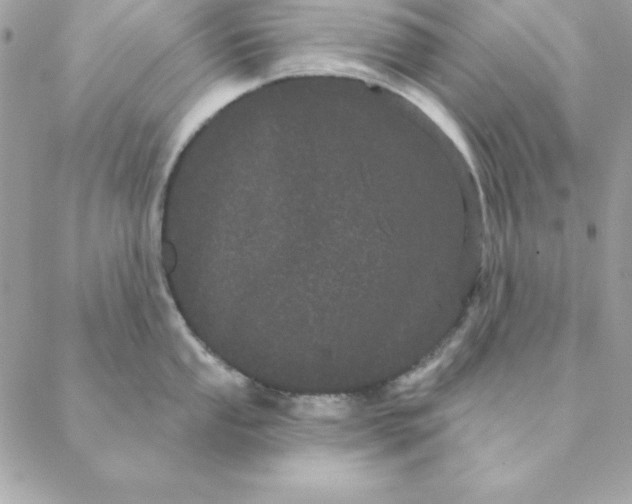 X0000088591053200706151731