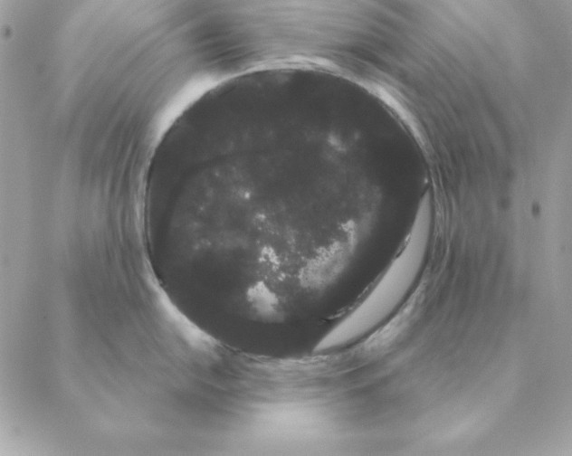 X0000088591054200706151731