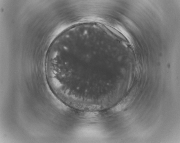 X0000088591055200706151731