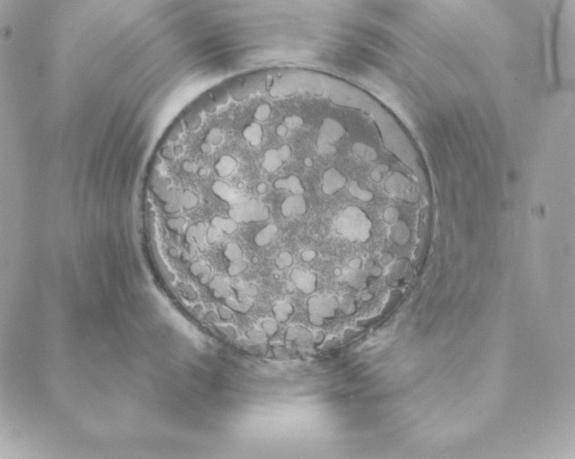 X0000088591056200706151731