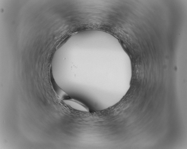 X0000088591057200706151731