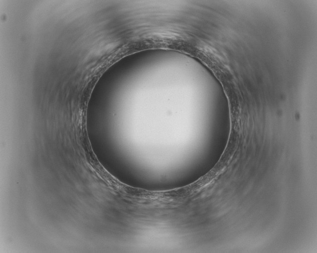 X0000088591061200706151731