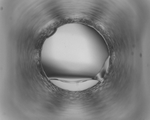 X0000088591062200706151731