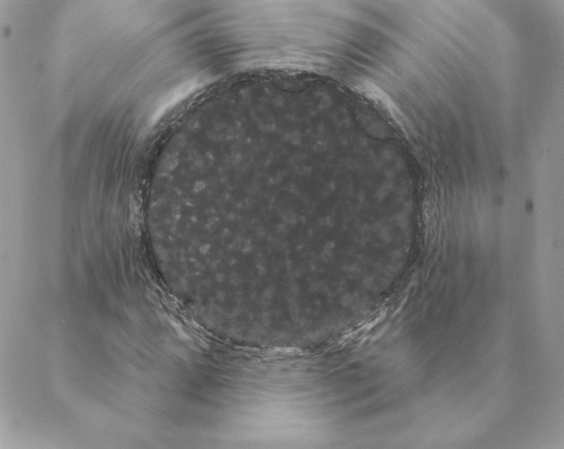 X0000088591064200706151731