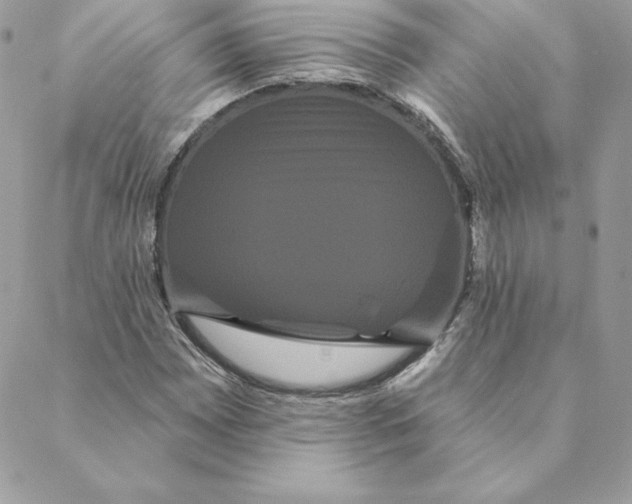 X0000088591065200706151731