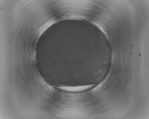 X0000088591066200706151731