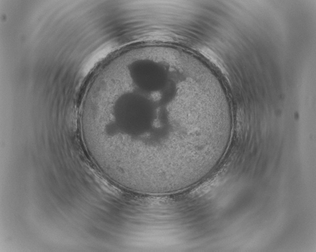 X0000088591067200706151731