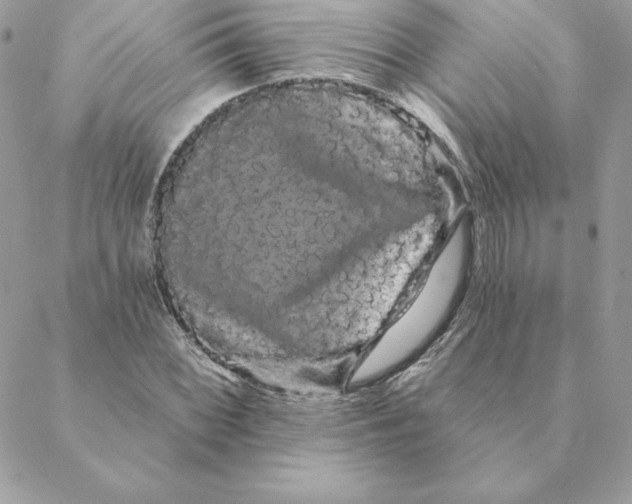 X0000088591068200706151731