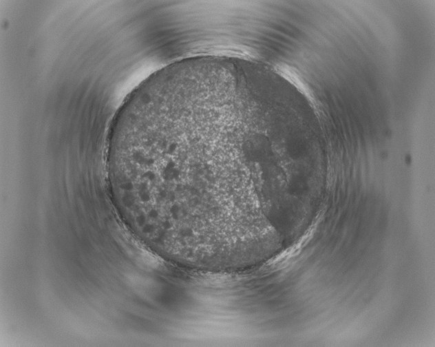 X0000088591071200706151730