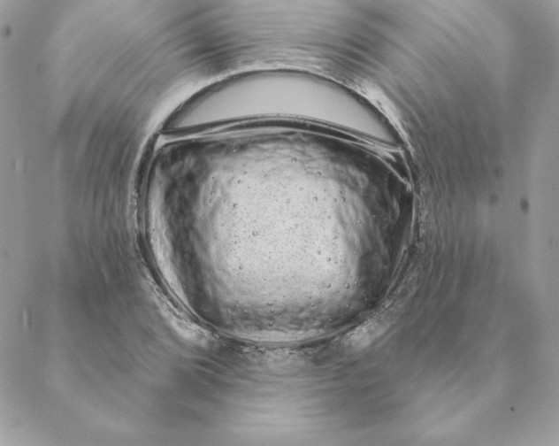 X0000088591072200706151730