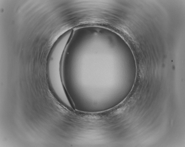 X0000088591073200706151730