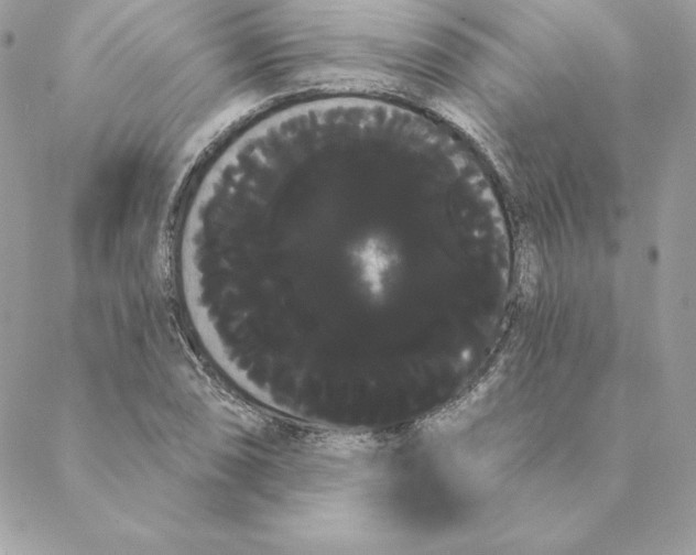 X0000088591074200706151730