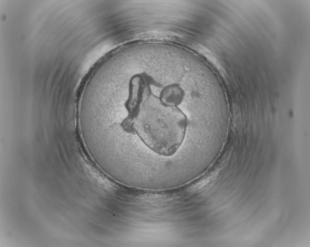 X0000088591075200706151730