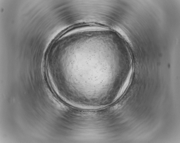 X0000088591076200706151730