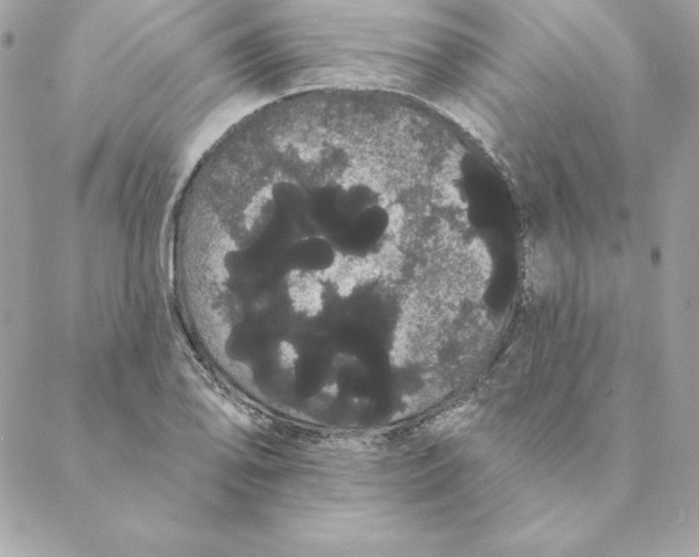 X0000088591078200706151730