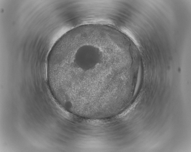 X0000088591079200706151730