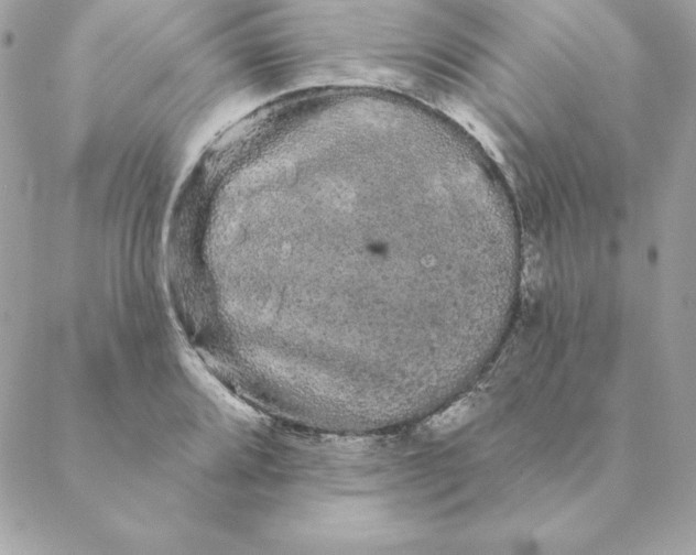 X0000088591080200706151730