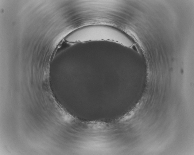 X0000088591081200706151730