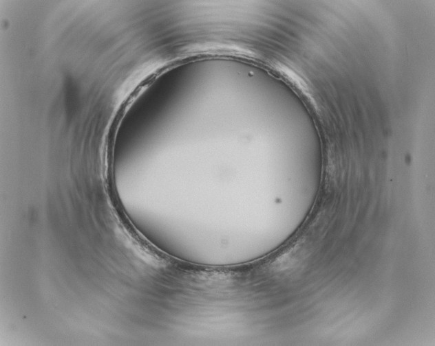 X0000088591082200706151730