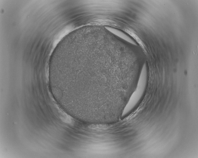 X0000088591083200706151730