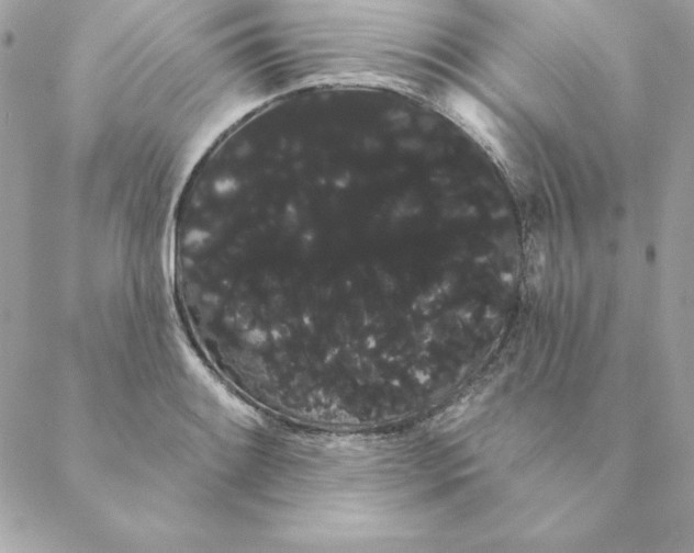 X0000088591084200706151730