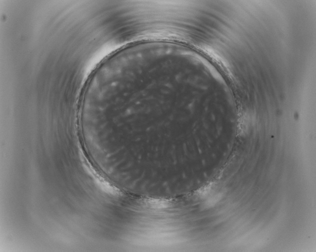 X0000088591086200706151730