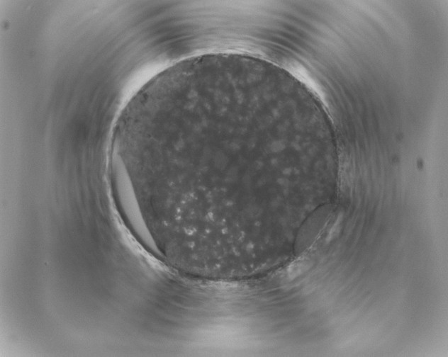 X0000088591088200706151730