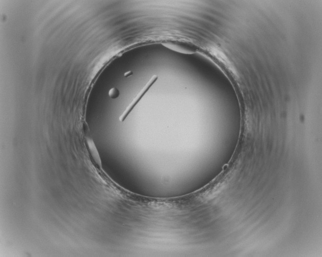 X0000088591089200706151730