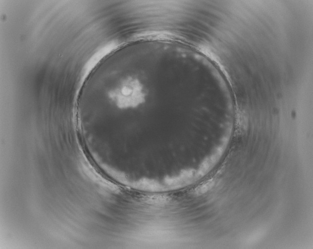 X0000088591090200706151730