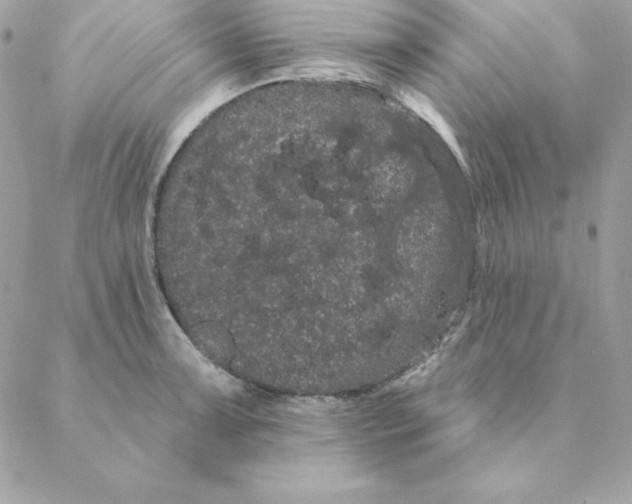 X0000088591091200706151730