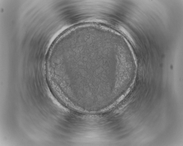 X0000088591092200706151730