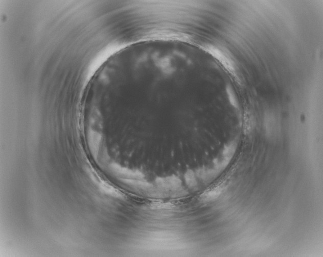 X0000088591094200706151730