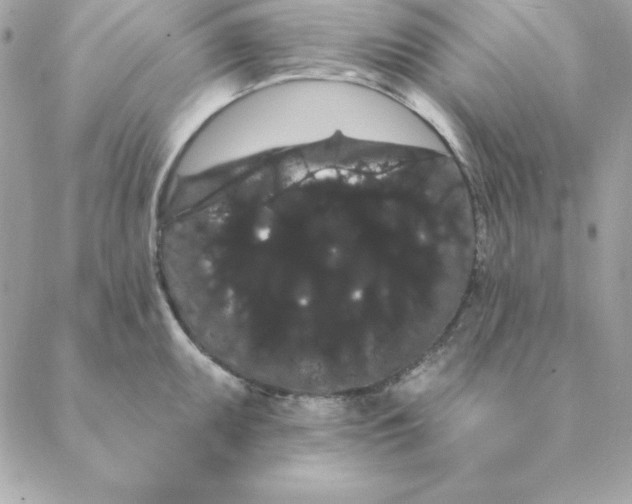 X0000088591095200706151730