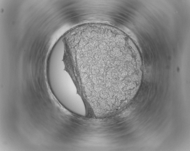 X0000088591096200706151730