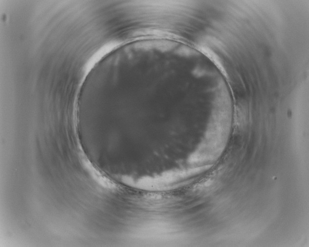 X0000088591098200706151730