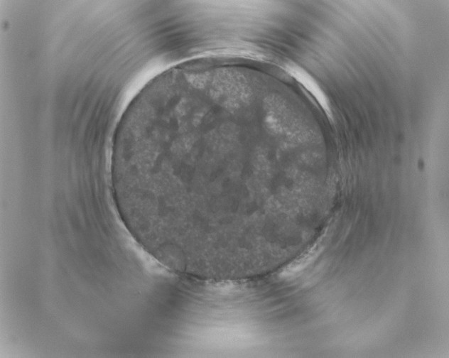 X0000088591099200706151730