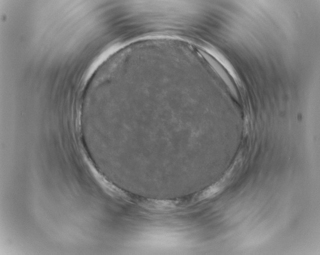 X0000088591101200706151730