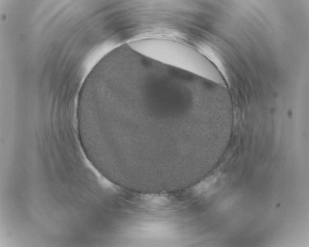 X0000088591103200706151730